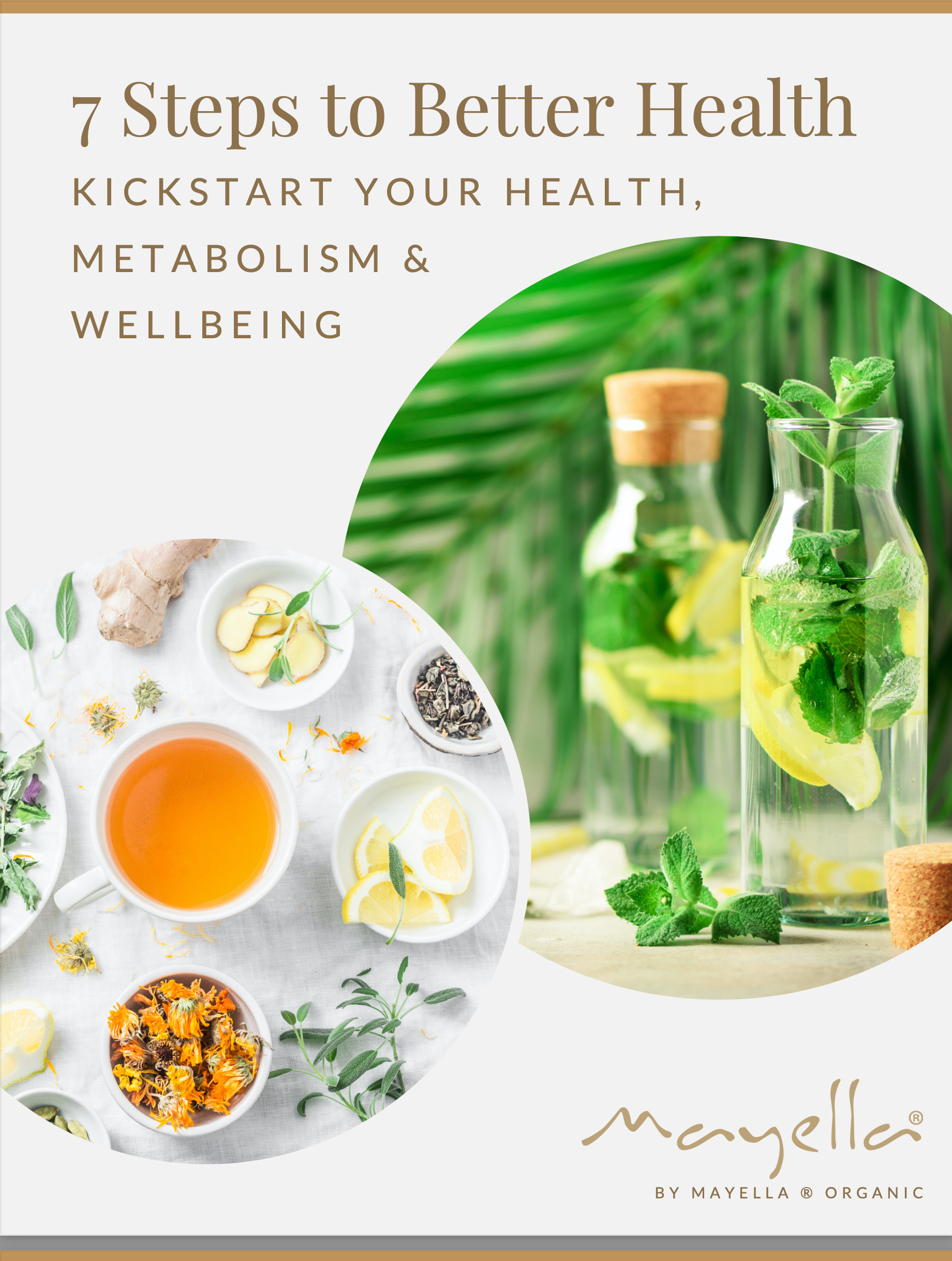 7 Steps to Better Health eBook - Kickstart Your Healthy Lifestyle today