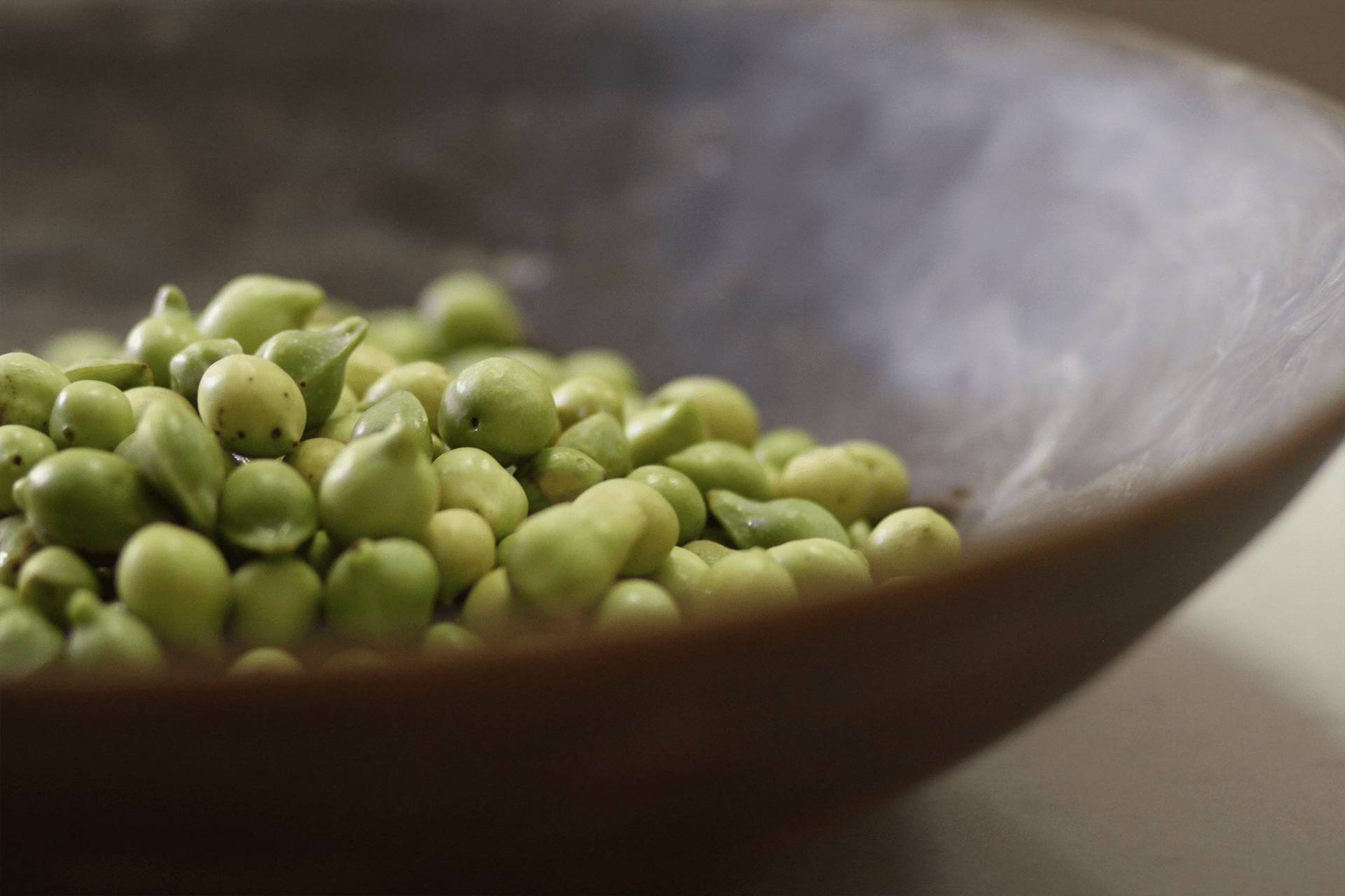 scattered Australian leaves, fruits and nuts on a white background