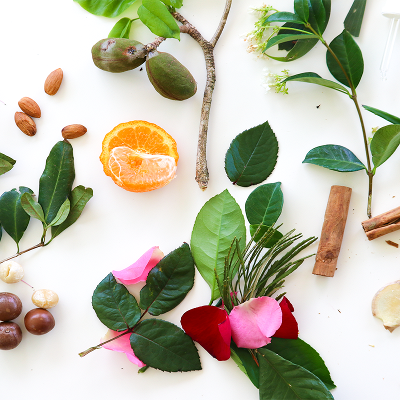 The power of Aromatherapy